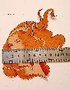 Vénus taille1.webp