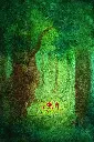 foret.webp