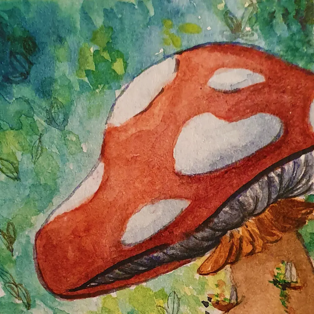 mushroom4.webp