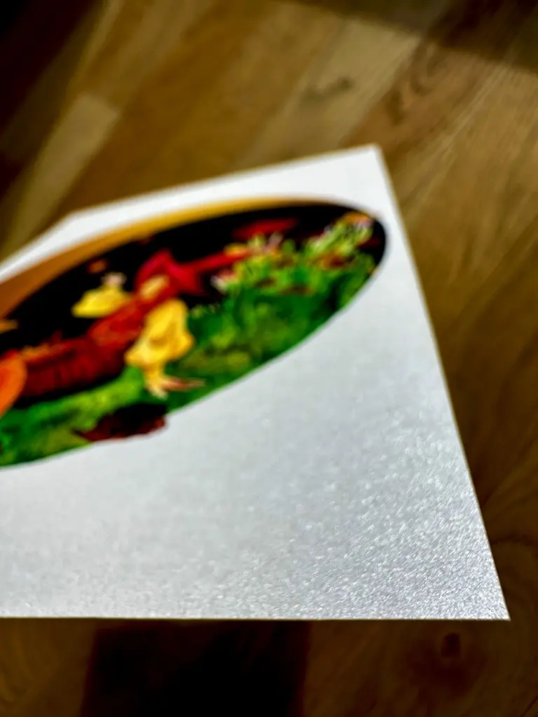 papier qui brille sorcière automne.webp